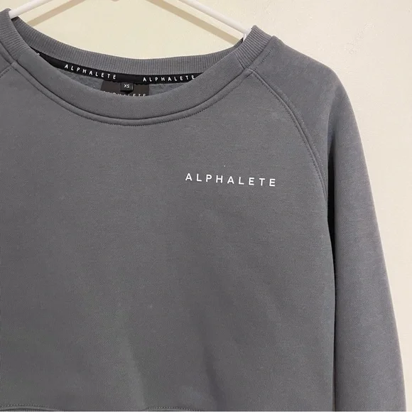 Alphalete Proud Never Satisfied Cropped Sweatshirt Gray XS Long Sleeve - Picture 4 of 7